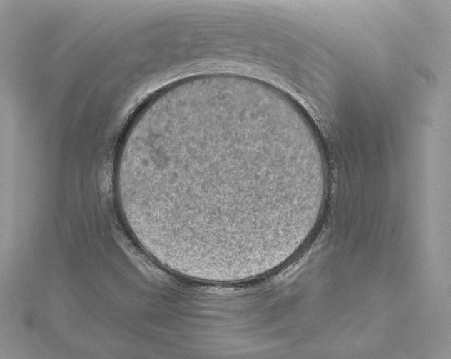 X0000114651499200911171039