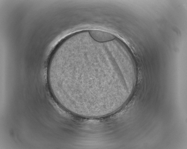 X0000114651503200911171040