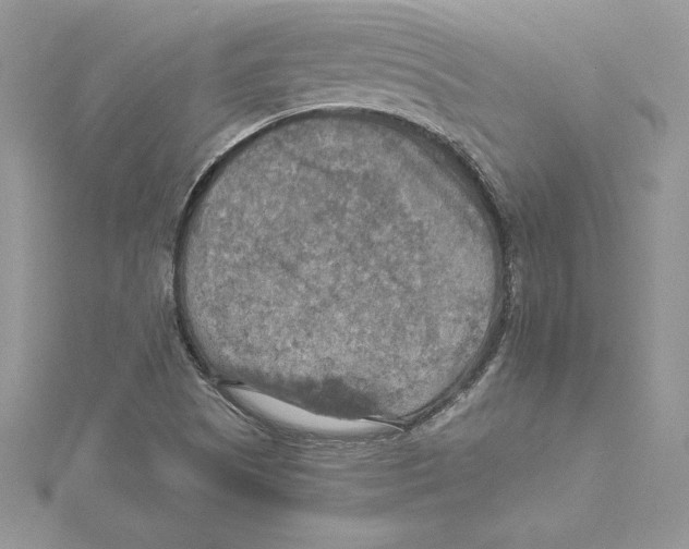 X0000114651505200911171040