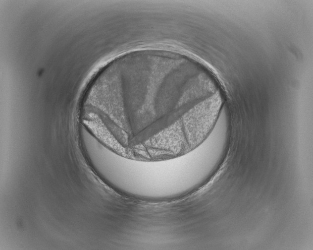 X0000114651506200911171040