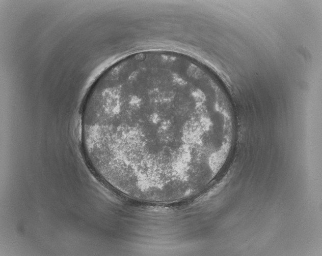 X0000114651509200911171040