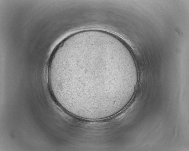 X0000114651510200911171040