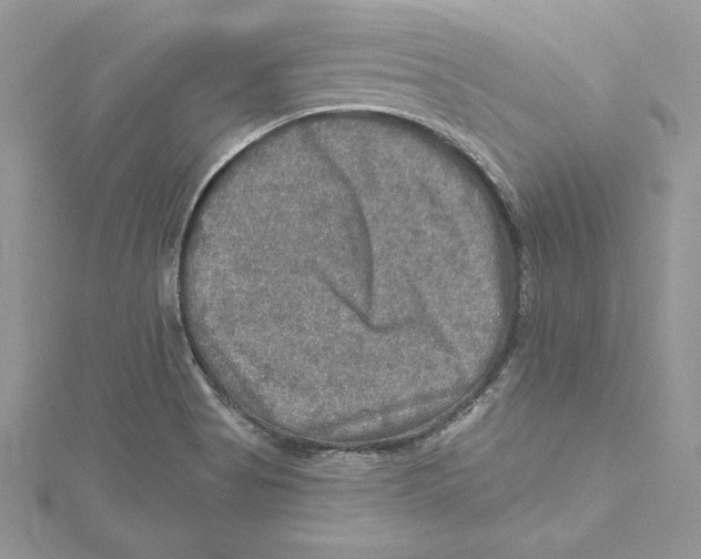 X0000114651513200911171040