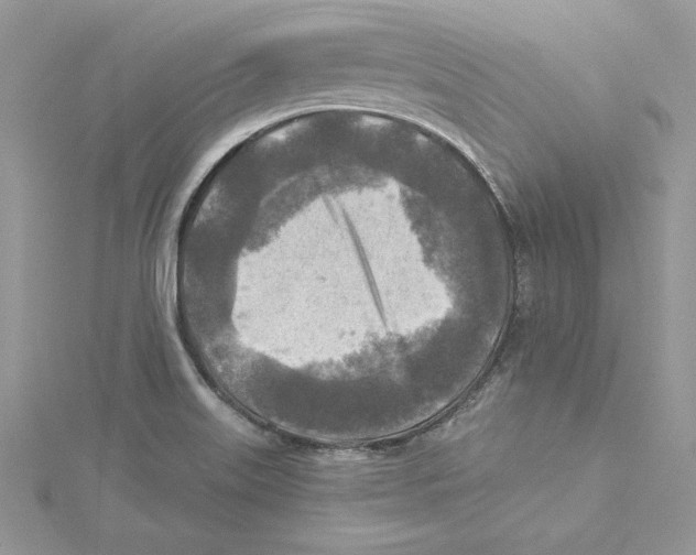 X0000114651515200911171040