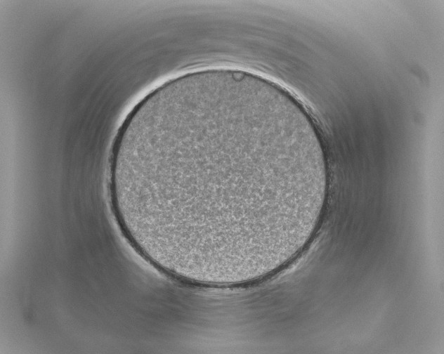 X0000114651518200911171040