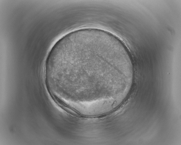 X0000114651519200911171040