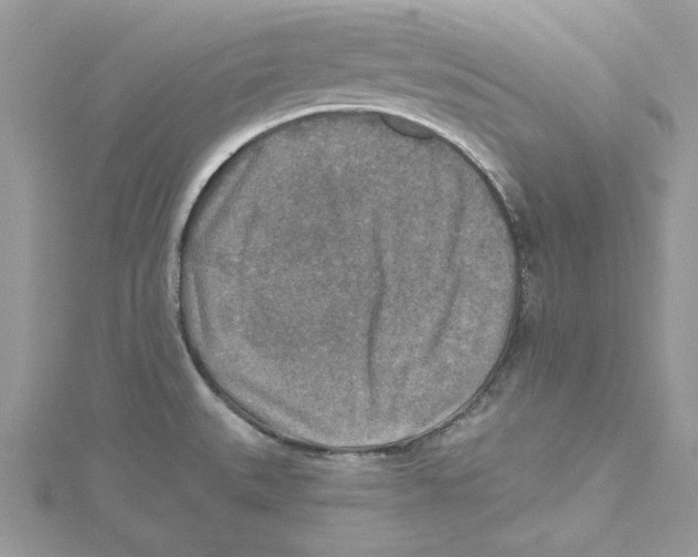 X0000114651527200911171040