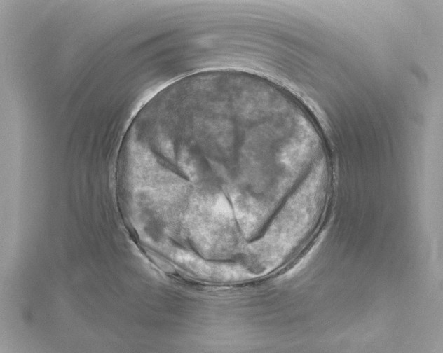 X0000114651529200911171040