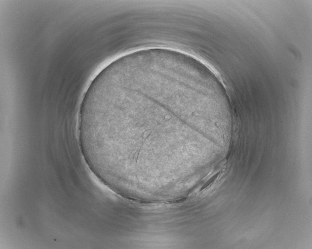 X0000114651535200911171040