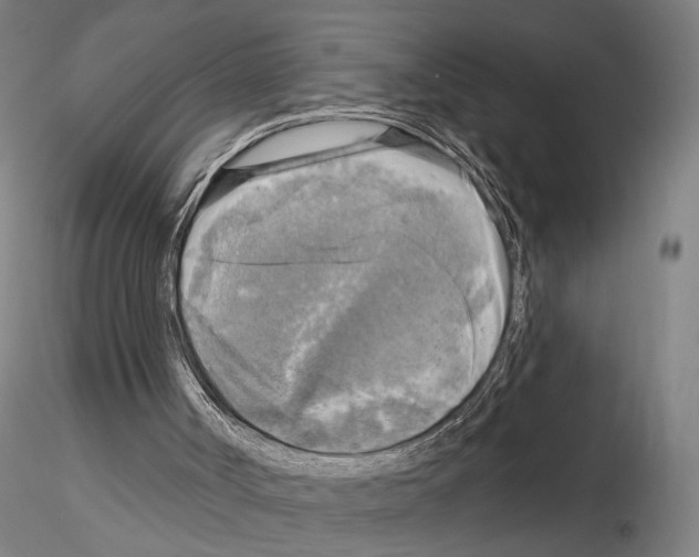 X0000114650002200912011123