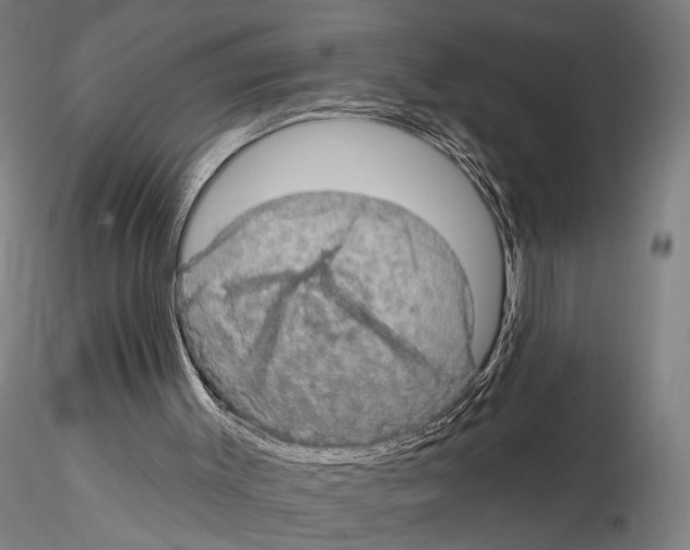 X0000114650003200912011123