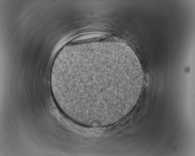 X0000114650004200912011123