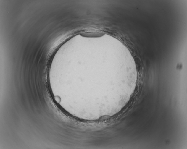 X0000114650005200912011123