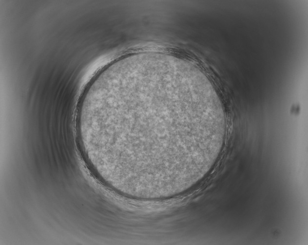 X0000114650006200912011123