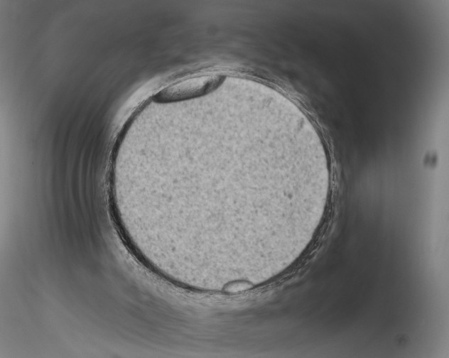 X0000114650007200912011123