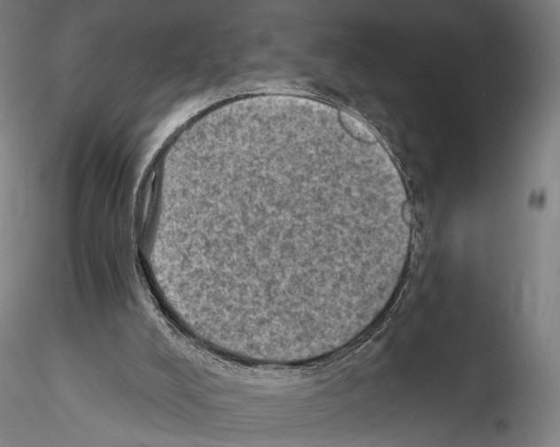 X0000114650008200912011123