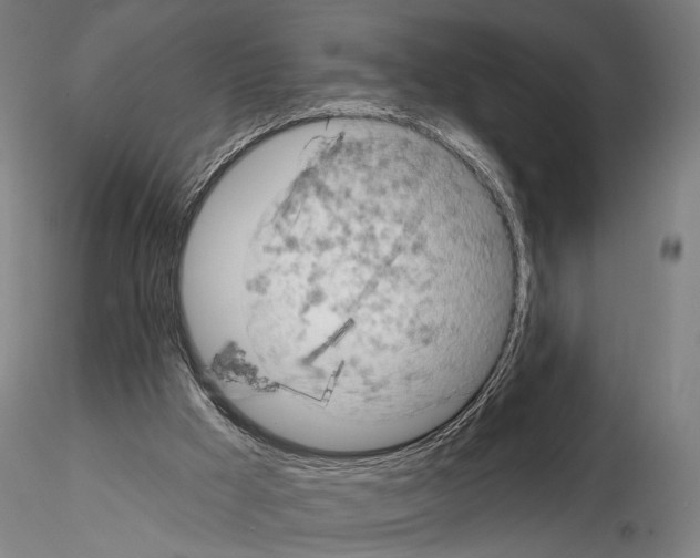 X0000114650009200912011123