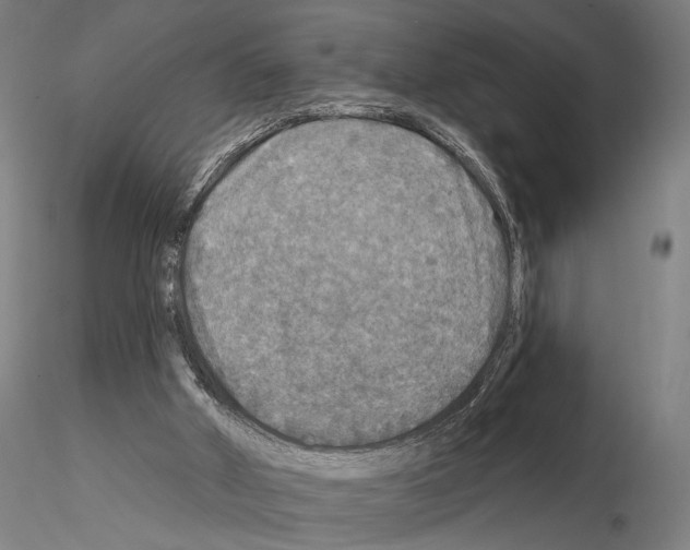 X0000114650010200912011123