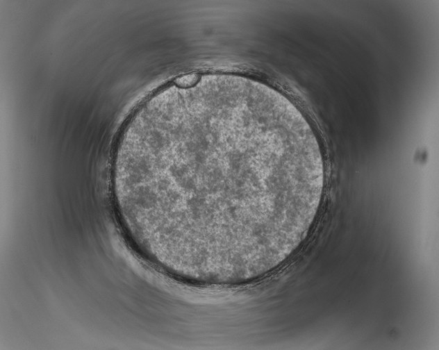 X0000114650012200912011123