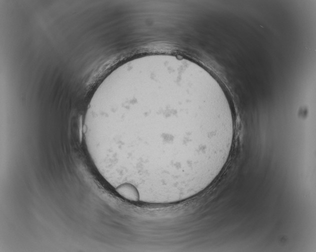 X0000114650013200912011123