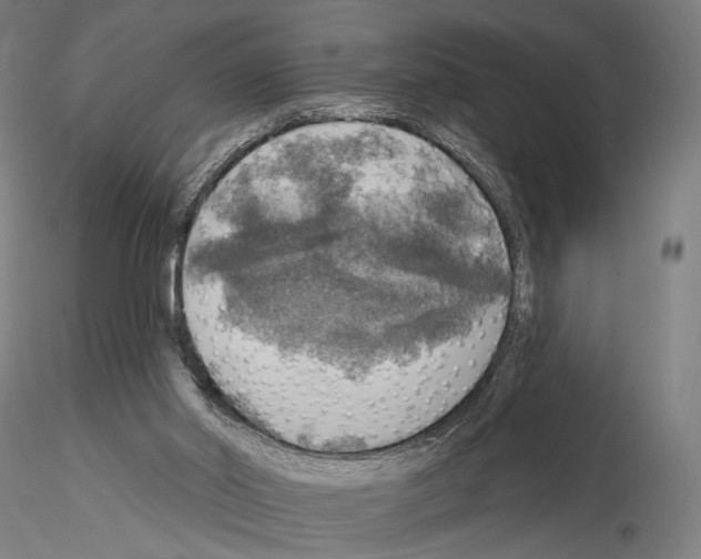 X0000114650014200912011123