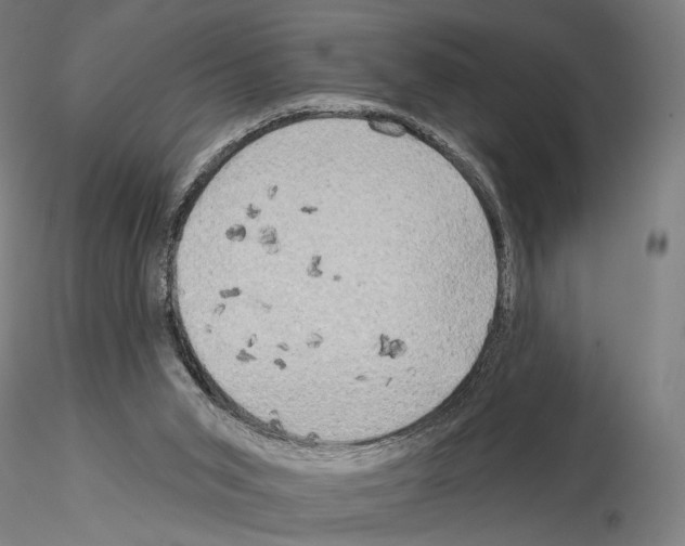 X0000114650015200912011123