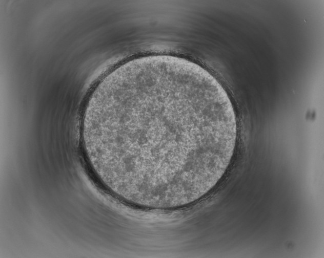 X0000114650016200912011123