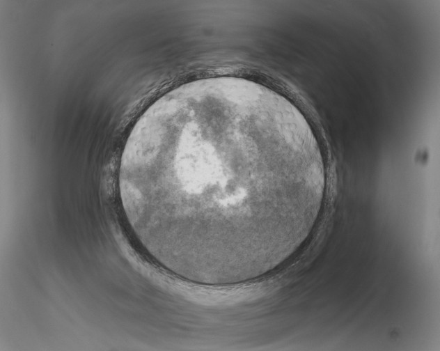 X0000114650018200912011122