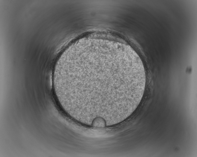 X0000114650020200912011122