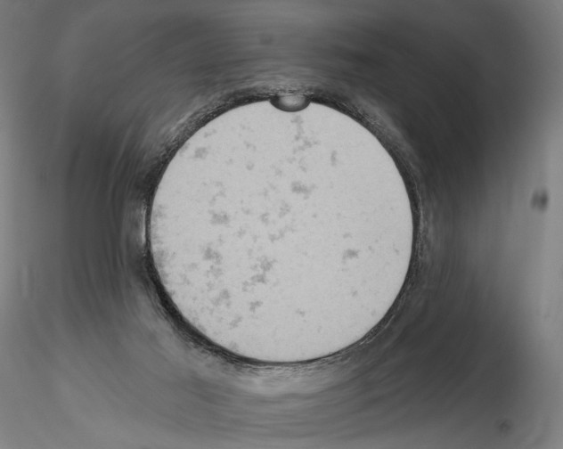 X0000114650021200912011122