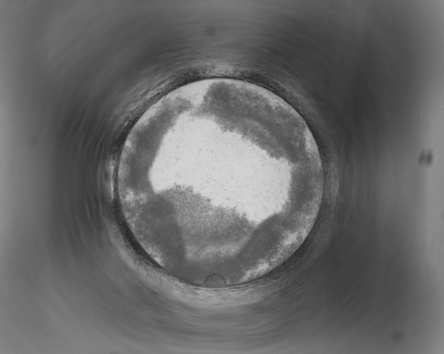 X0000114650022200912011122