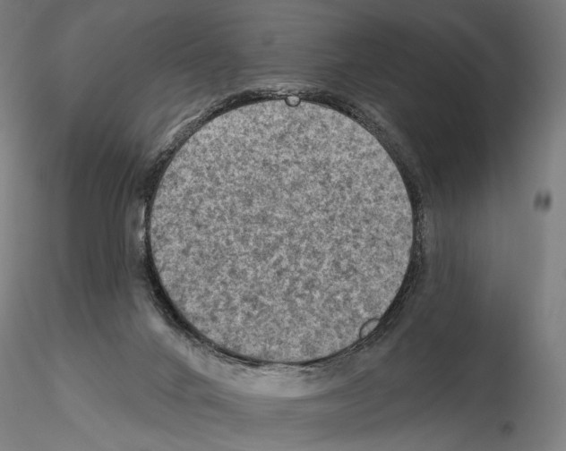 X0000114650024200912011122