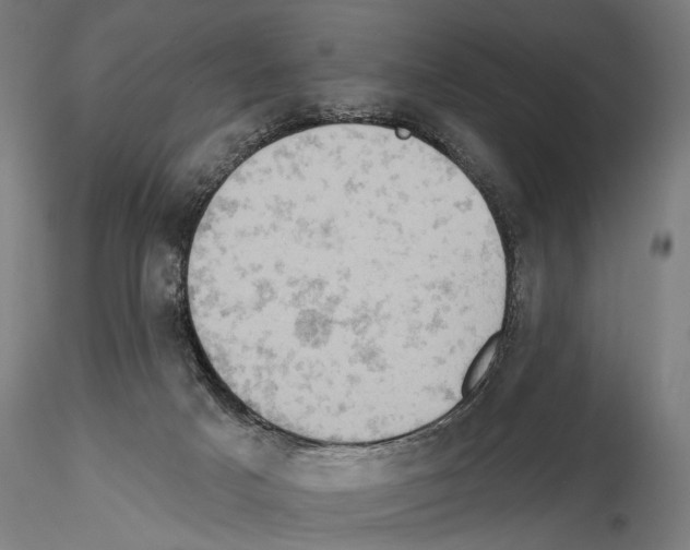 X0000114650025200912011122