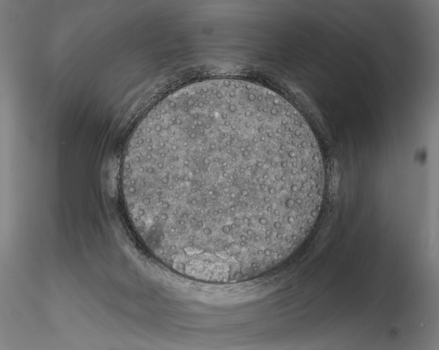 X0000114650026200912011122