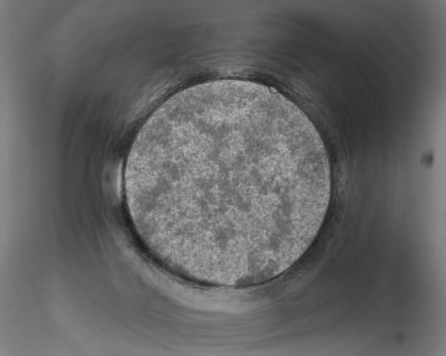 X0000114650028200912011122