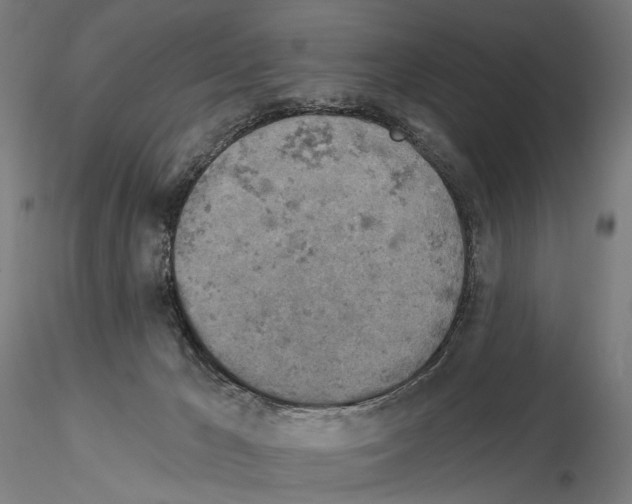 X0000114650029200912011122