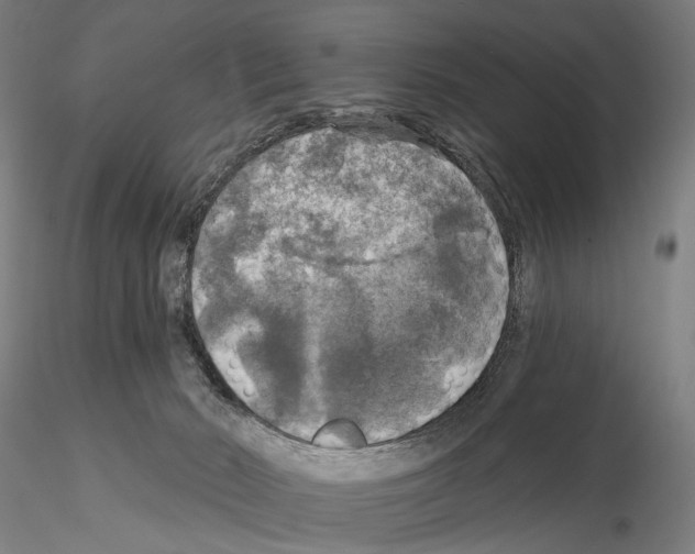 X0000114650030200912011122