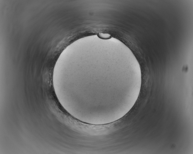 X0000114650031200912011122