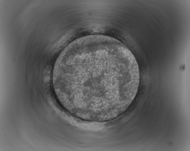 X0000114650032200912011122