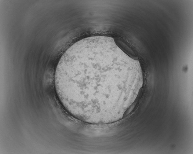 X0000114650033200912011122