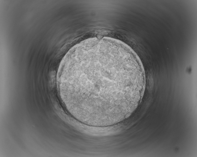 X0000114650034200912011122