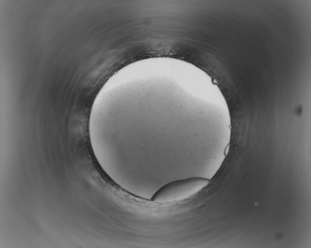 X0000114650035200912011122