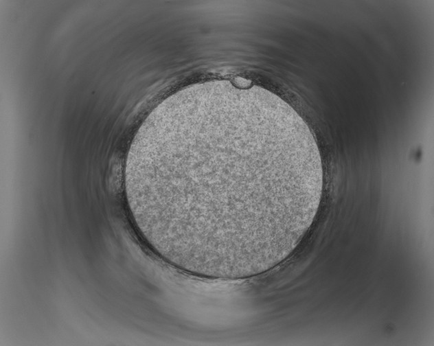 X0000114650036200912011122