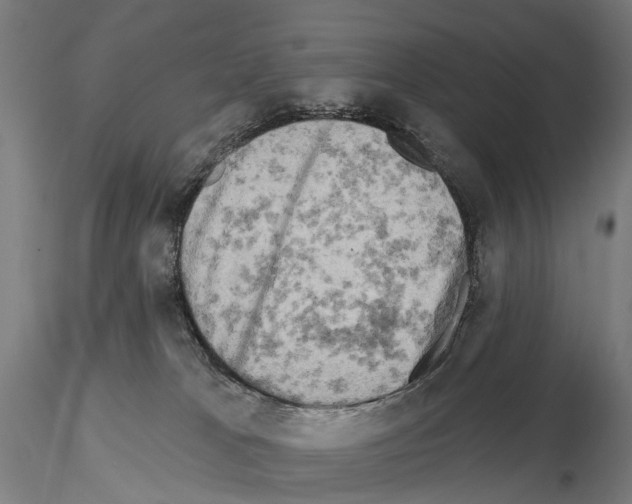 X0000114650037200912011122