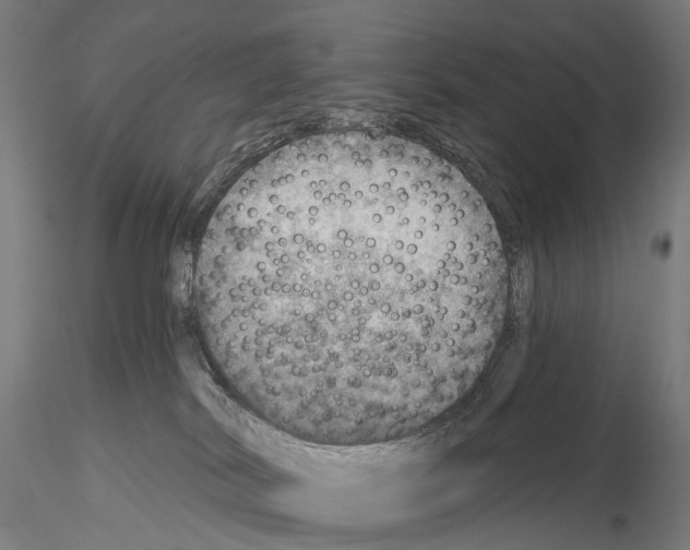 X0000114650038200912011122