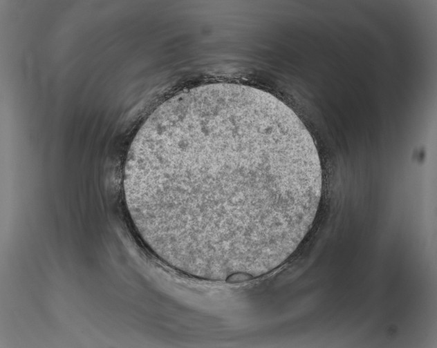 X0000114650040200912011122