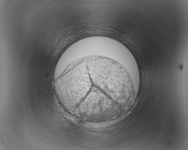 X0000114650041200912011122