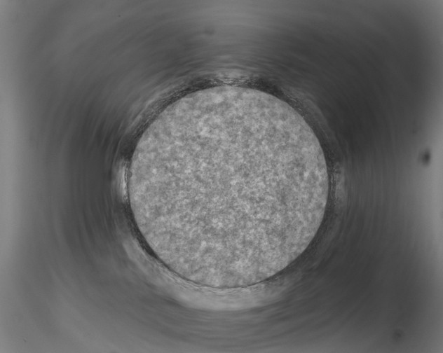 X0000114650042200912011122