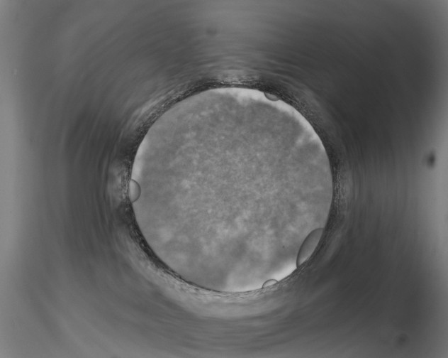 X0000114650043200912011122