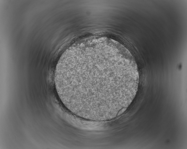 X0000114650044200912011122